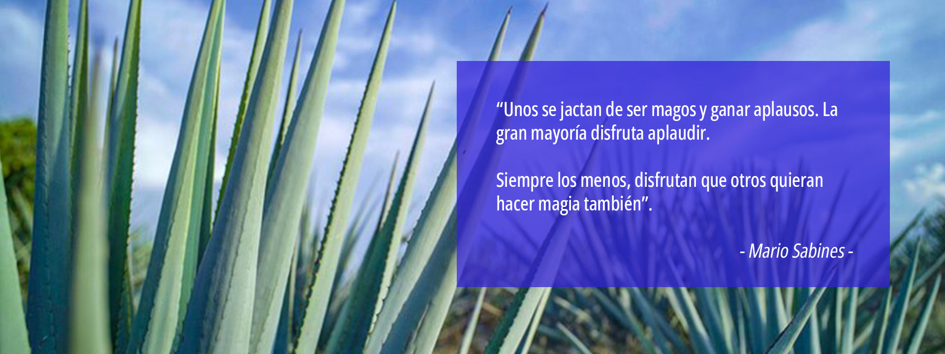 Tequilador | El agave forma parte del corazón de nuestro tequila